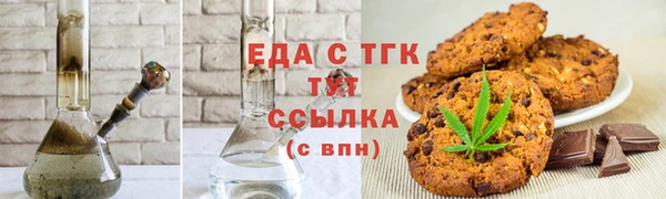 индика Алексин