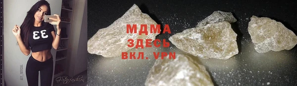 индика Алексин