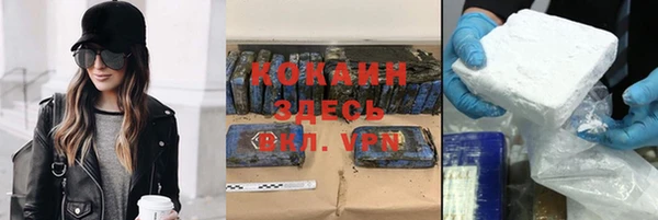 индика Алексин