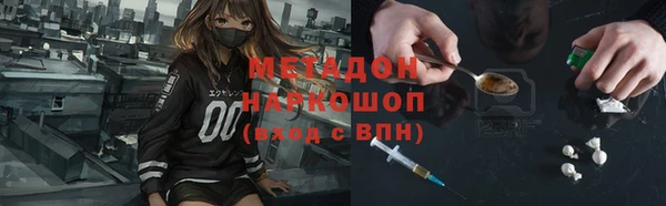 индика Алексин