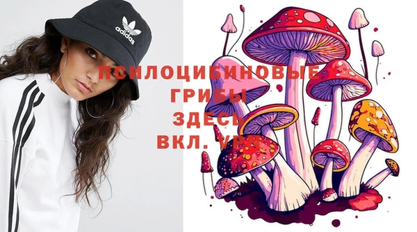 индика Алексин