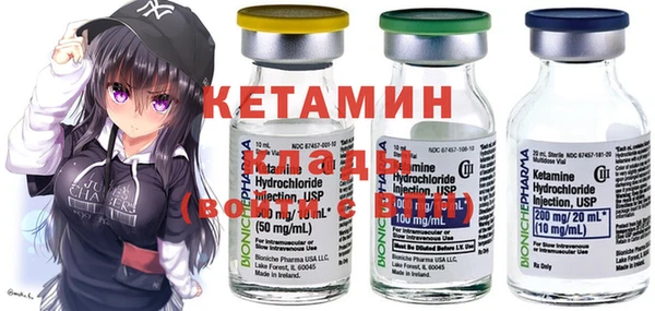 индика Алексин