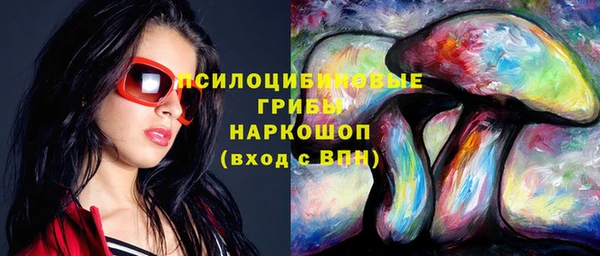 индика Алексин