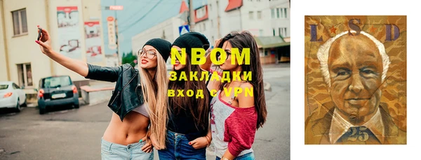 индика Алексин