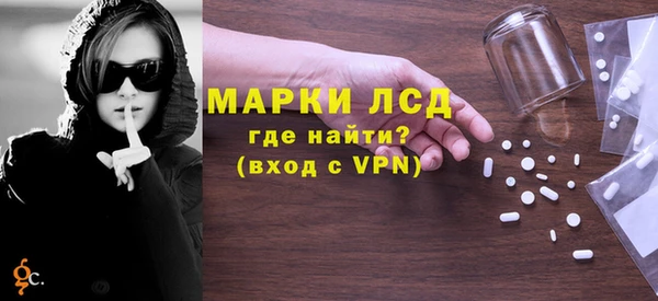 индика Алексин