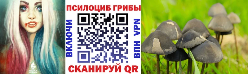 где можно купить наркотик  кракен tor  Псилоцибиновые грибы ЛСД  Малаховка 